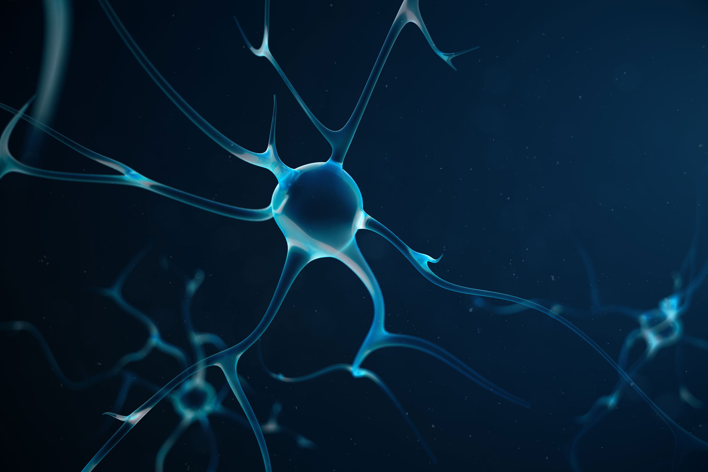 Infiammazione: il ruolo del Sistema Nervoso Autonomo – dott. G. F. Bellabona